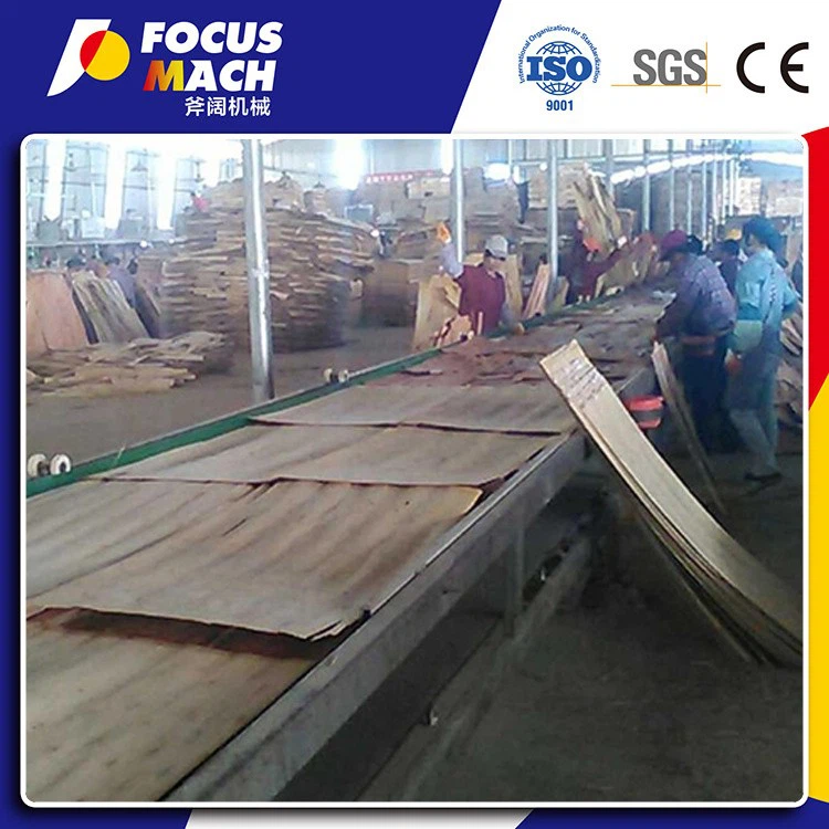 PLYWOOD PAVING MACHINE (4)